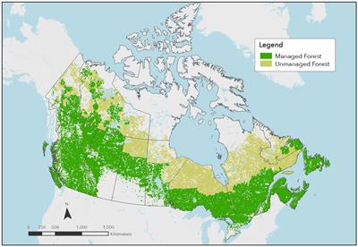 High emissions or carbon neutral? Inclusion of “anthropogenic” forest sinks leads to underreporting of forestry emissions